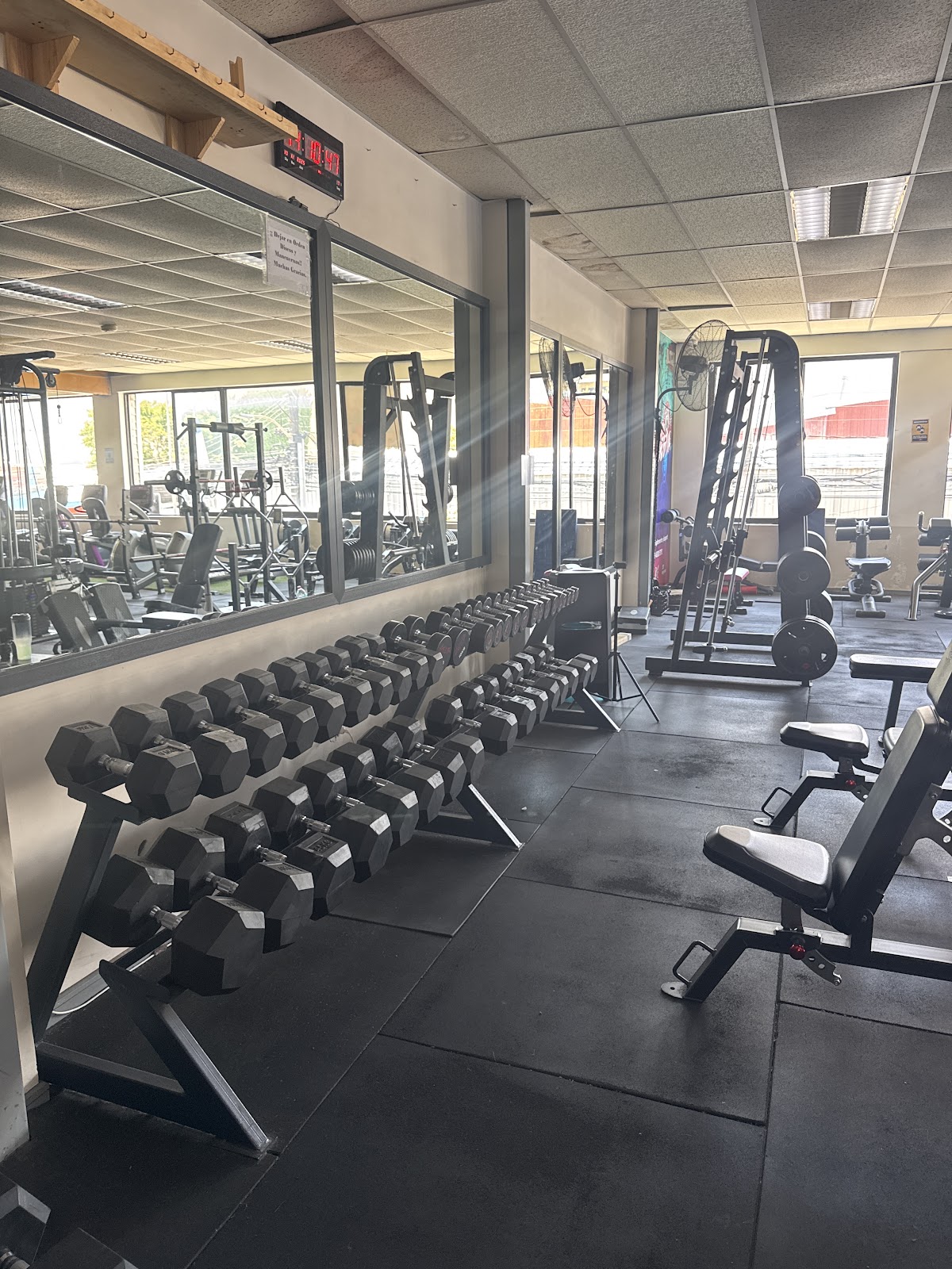 Sala de musculación de Gimnasio ProGym con mancuernas y máquinas